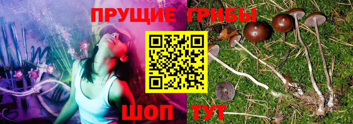 Саяногорск  Псилоцибиновые грибы мицелий  где купить наркотик  Вход с VPN 