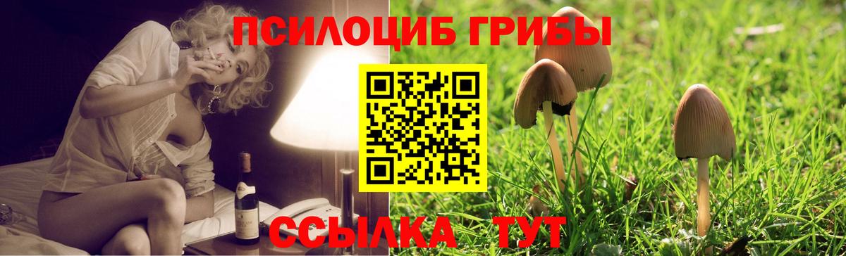 Псилоцибиновые грибы GOLDEN TEACHER Саяногорск